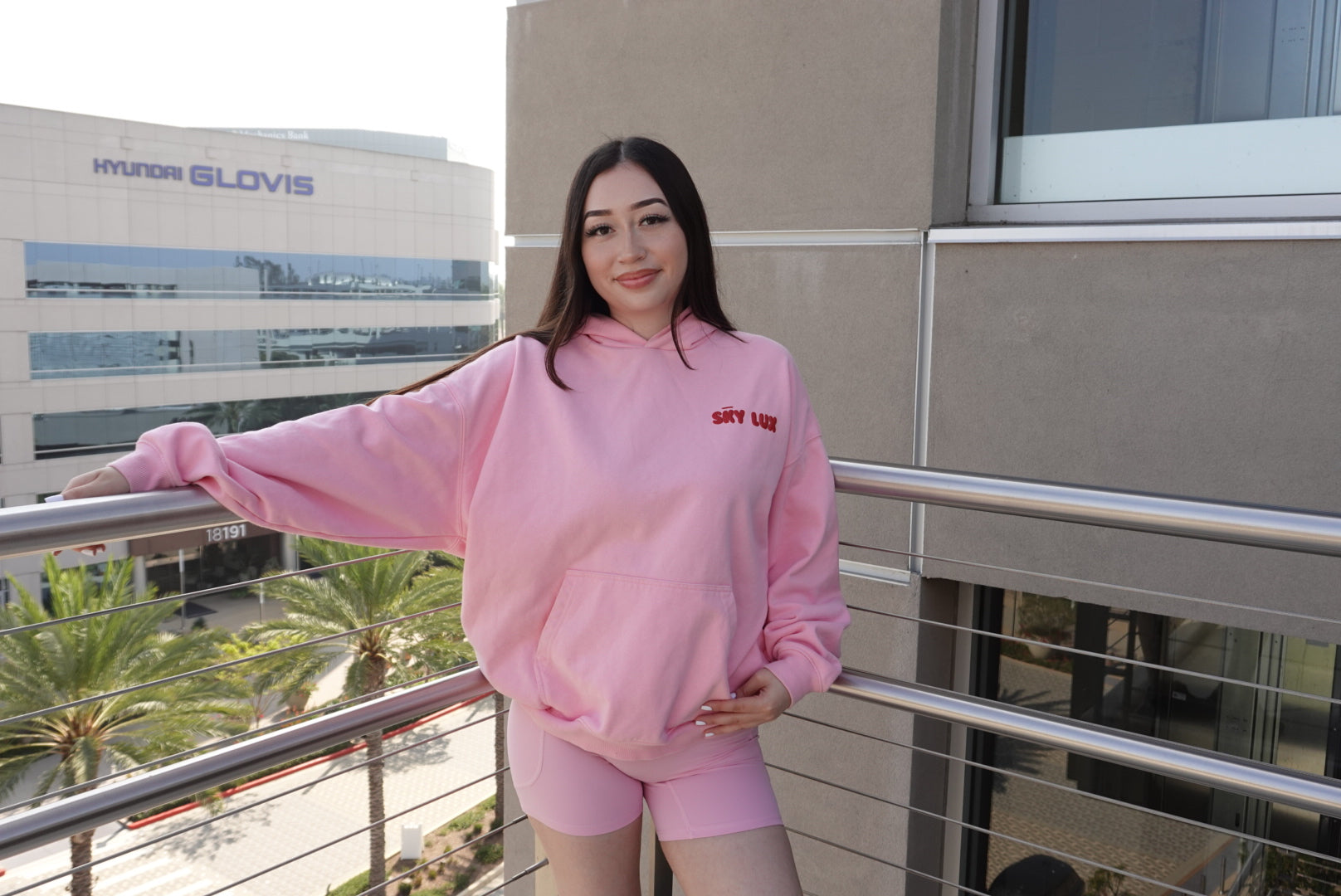 ICONIC HOODIE – SkyLuxApparel